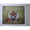 tiger animal painting