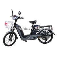 CE Electric Bicycle (TDP302Z-1)