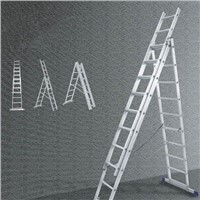 Combination Ladder