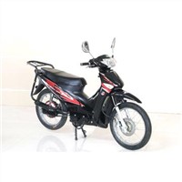 EEC/DOT Electric Motorcycles (70km/h 1200w/60v)