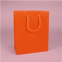 Euro Tote Paper Bag (HD-SG-E005)