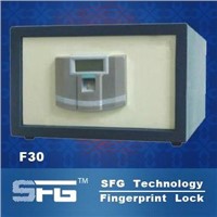 Fingerprint Save Box