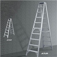 Folding Ladder