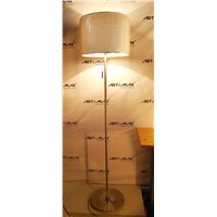 Metal Floor Lamp (LJ-50018A)