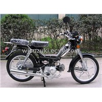 Motorcycle/Cub Motorcycle (WJ48Q)