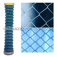 PVC Coated Chain Link Fence (8)