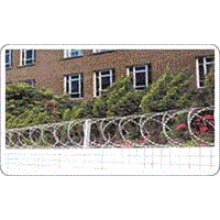 Barbed Wire