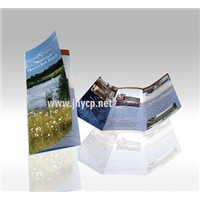 Brochures Printing