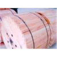 Guy Wire