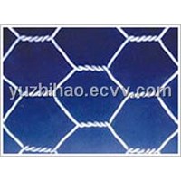 Hexagonal Wire Mesh