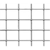 Stainless Steel Electrical Welded Wire Mesh
