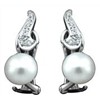925 Silver Earring with AAA pearl and CZ(JYJP813)