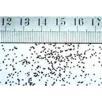 ATB-Semi-friable Fused Alumina for Coated Abrasives