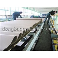 Conveyor Bridge