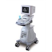 Digital Ultrasound Diagnostic Scanner