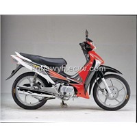 Motorcycle (FR110B)