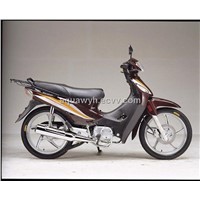 Motorcycle (FR110-3)