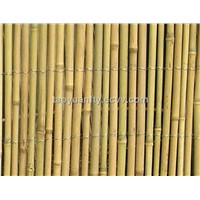 Bamboo Stake Fence (TY007)
