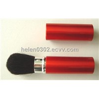 Retractable Brush