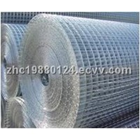 1/2 Welded Wire Mesh