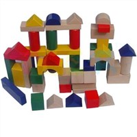50pcs Colourful Blocks