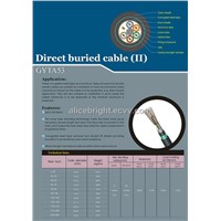 Fiber Optic Cable