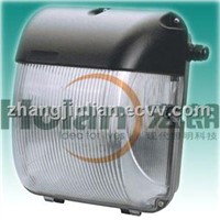 Lvd induction electrodeless fluoresent lamp for walk pack