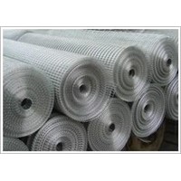Welded Wire Mesh