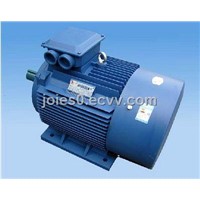 Electric Motor