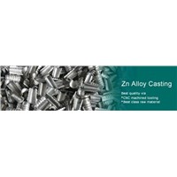 Zn Alloy Casting (Wotech011)