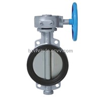 Center Plate Rubber Lined Butterfly Valves