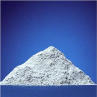 Export White Cement