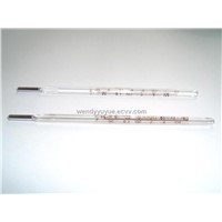 Clinical Thermometer (CRW11)