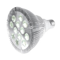 LED Bulb (DSA-1202-PAR38)