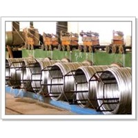 Hot-Dipped &amp;amp; Heavy Galvanized Wire