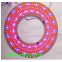 LED ceiling lamps