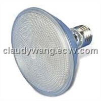 Par30 LED Lamp