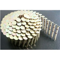 Roofing Coil Nails