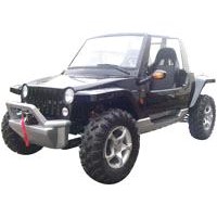 UTV JP800