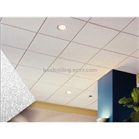 acoustic ceiling panel