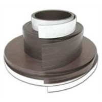 Magnetic Strip