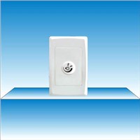 Wall Switch (BX-D029)