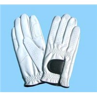 All Types Of Sports Gloves