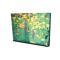 Litile 34 - Sunlight Readable and High Resolution Videowall