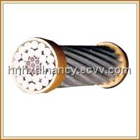 All Aluminum Alloy Conductor  (AAAC)