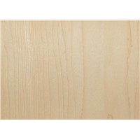 America Maple Plywood (LC-7)