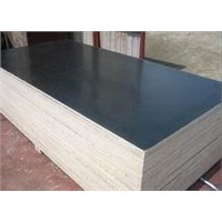 Black Film Faced Plywood