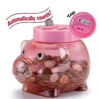Coin Counting Bank