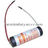 ER14505S-High Temperature Lithium Battery