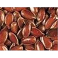 Flax Seeds Extract
